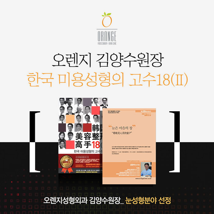 한국 미용성형의 고수18(II)<br>눈성형 분야 선정
